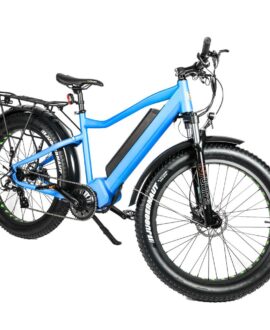 Eunorau Fat-HD 48V/15.6Ah 1000W Fat Tire Electric Mountain Bike