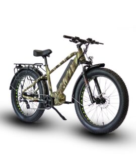 Eunorau Fat-HD 48V/15.6Ah 1000W Fat Tire Electric Mountain Bike