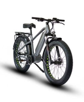 Eunorau Fat-HD 48V/15.6Ah 1000W Fat Tire Electric Mountain Bike