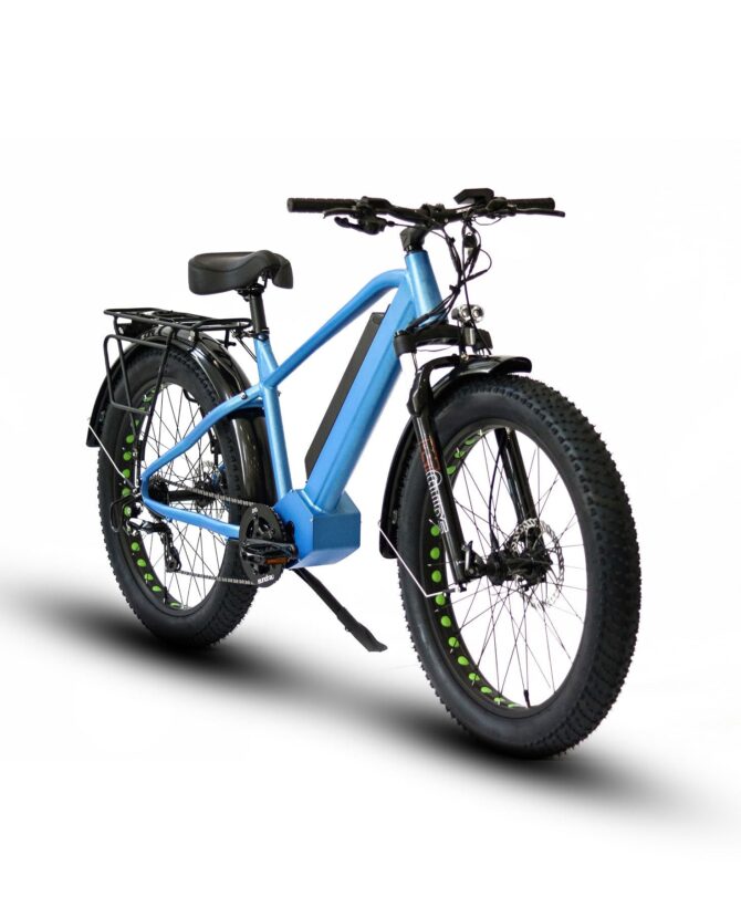 Eunorau Fat-HD 48V/15.6Ah 1000W Fat Tire Electric Mountain Bike