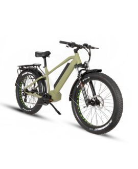 Eunorau Fat-HD 48V/15.6Ah 1000W Fat Tire Electric Mountain Bike