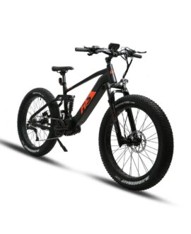 Eunorau Fat-HS 48V/14Ah 1000W Fat Tire Electric Bike