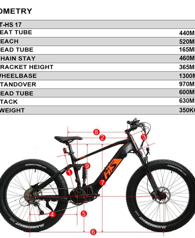 Eunorau Fat-HS 48V/14Ah 1000W Fat Tire Electric Bike