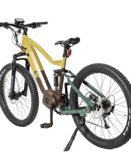 Eunorau Fat-HS 48V/14Ah 1000W Fat Tire Electric Bike