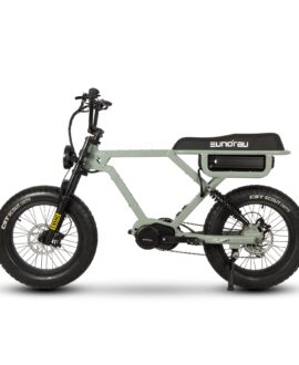 Eunorau Flash 52V/16Ah 750-1500W Fat Tire Electric Bike