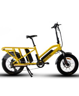 Eunorau G30-CARGO 48V14AH/20AH 500W Cargo Electric Bike