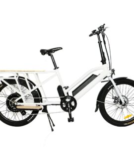 Eunorau Max-Cargo 48V/11.6Ah 750W Cargo Electric Bike