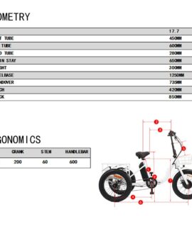 Eunorau New-Trike 48V/12.5Ah 500W Folding Electric Trike