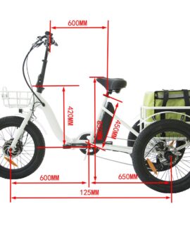 Eunorau New-Trike 48V/12.5Ah 500W Folding Electric Trike