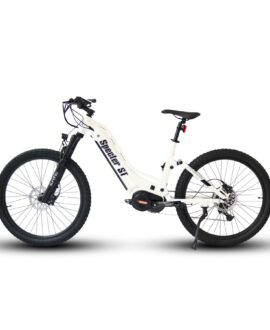 Eunorau Specter ST 2023 48V/17Ah 1000W Fat Tire Electric Bike