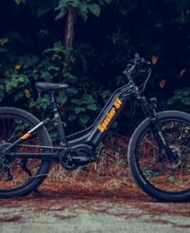 Eunorau Specter ST 2024 48V/17Ah 1000W Fat Tire Electric Bike