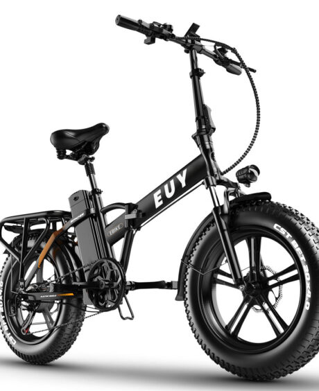 Euybike F6 48V/15Ah 750W Folding Fat Tire Electric Bike