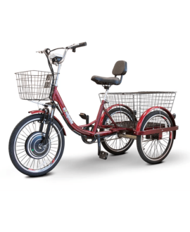 EWheels EW-29 48V/12Ah 500W Transportation Electric Trike