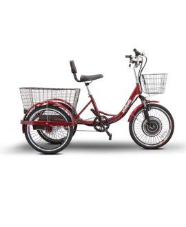 EWheels EW-29 48V/12Ah 500W Transportation Electric Trike