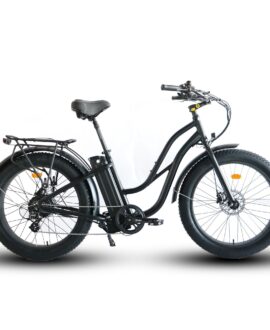 Coastal Cruiser 52V 750W Fat Tire Step Thru-Beach Cruiser Electric Bike