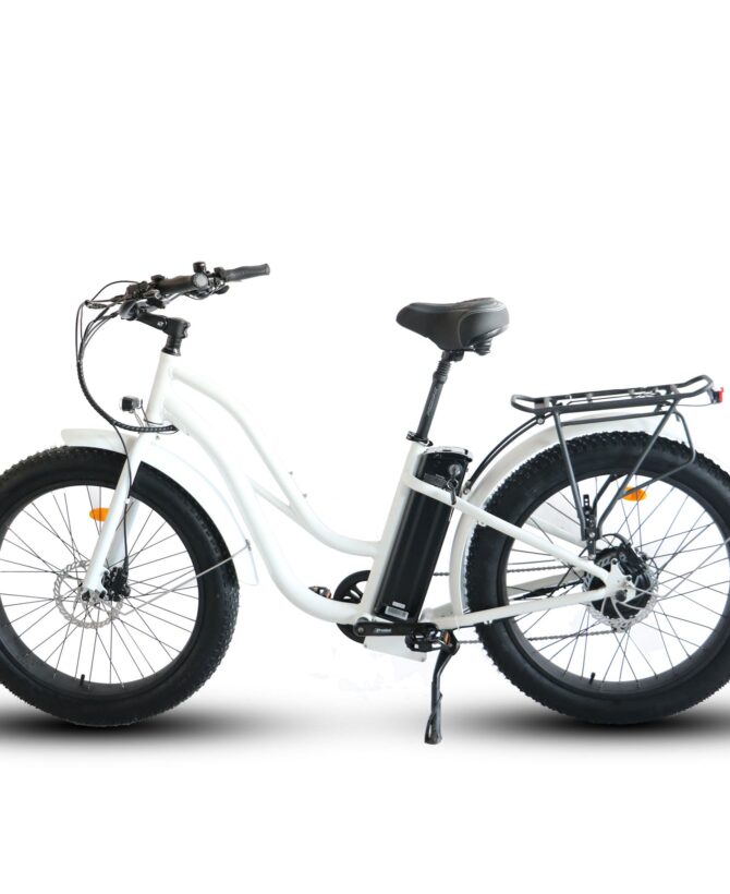 Coastal Cruiser 52V 750W Fat Tire Step Thru-Beach Cruiser Electric Bike