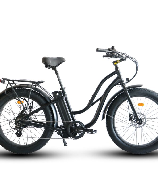 Coastal Cruiser 52V 750W Fat Tire Step Thru-Beach Cruiser Electric Bike