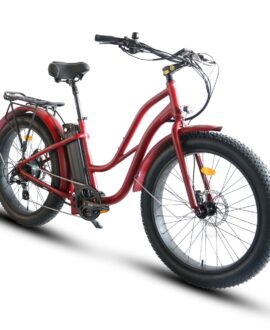 Coastal Cruiser 52V 750W Fat Tire Step Thru-Beach Cruiser Electric Bike