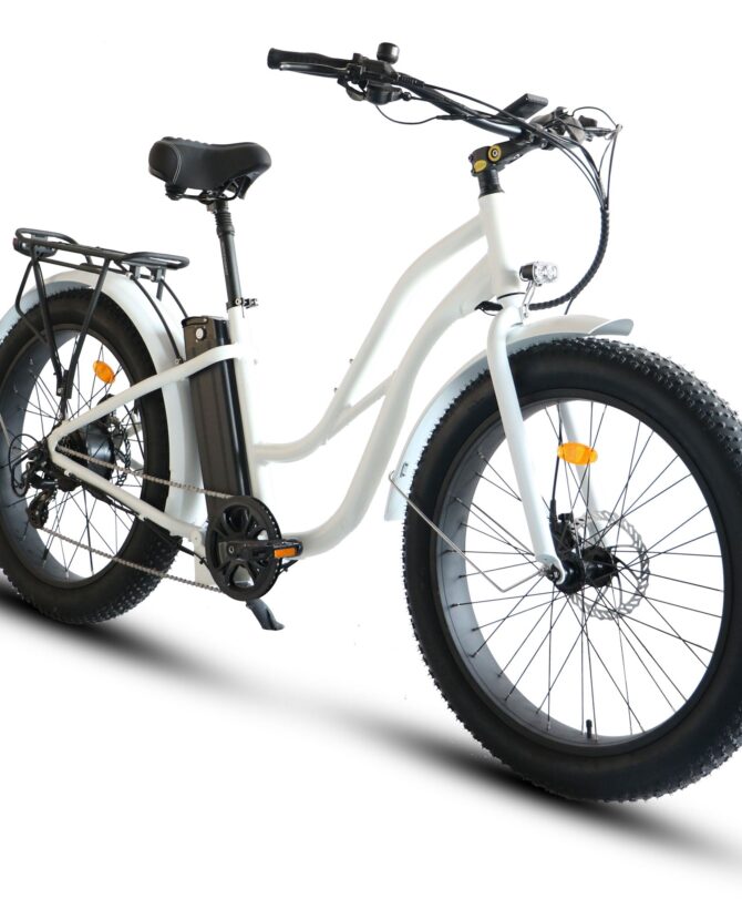 Coastal Cruiser 52V 750W Fat Tire Step Thru-Beach Cruiser Electric Bike