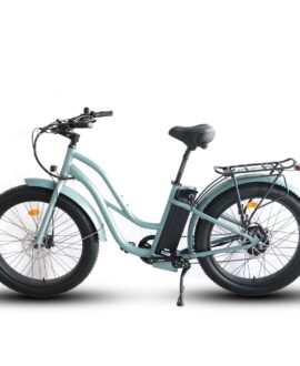 Coastal Cruiser 52V 750W Fat Tire Step Thru-Beach Cruiser Electric Bike