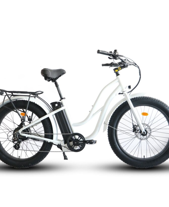 Coastal Cruiser 52V 750W Fat Tire Step Thru-Beach Cruiser Electric Bike