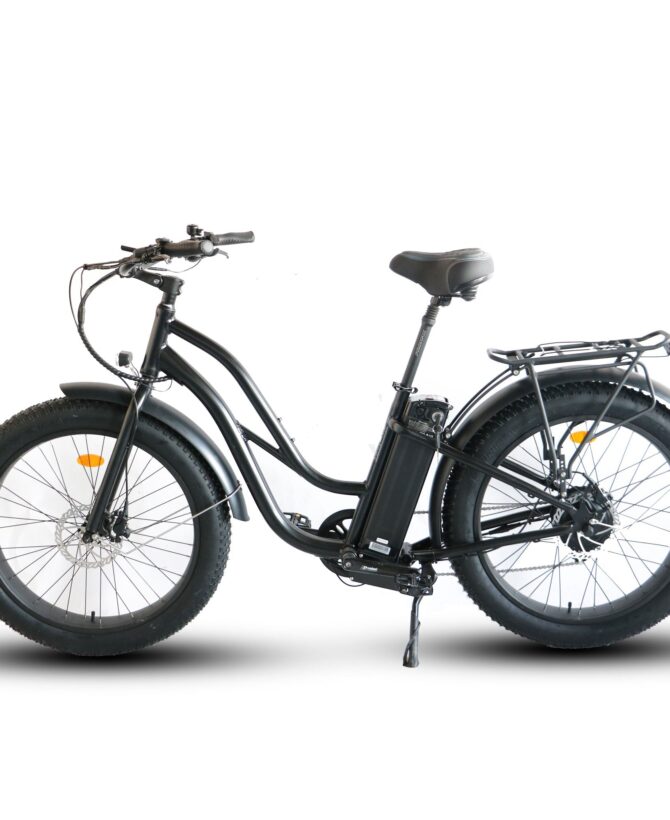 Coastal Cruiser 52V 750W Fat Tire Step Thru-Beach Cruiser Electric Bike