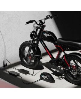 G-Force ZM 48V/20Ah 750W Fat Tire Electric Bike