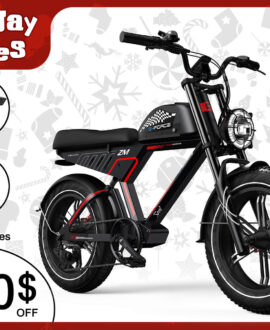 G-Force ZM 48V/20Ah 750W Fat Tire Electric Bike