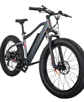 GlareWheel EB-PR 48V/13Ah 500W Fat Tire Electric Mountain Bicycle