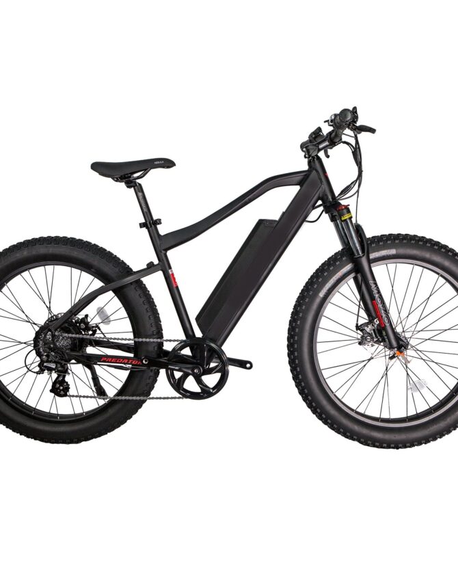 GlareWheel EB-PR 48V/13Ah 500W Fat Tire Electric Mountain Bicycle