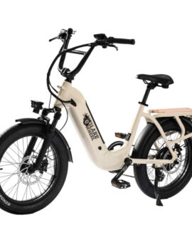 GlareWheel EB-X8Pro 52V/15Ah 750W Step-Thru Electric City Cargo Ebike