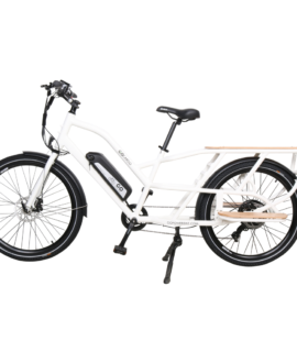 GoPowerBike GoCargo 750W 48V/10Ah All Terrain Fat Tire Electric Bike B202