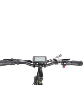 GoPowerBike GoCruiser 750W 48V/10Ah Folding Fat Tire Electric Bike B303