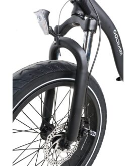 GoPowerBike GoCruiser 750W 48V/10Ah Folding Fat Tire Electric Bike B303