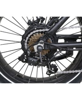 GoPowerBike GoCruiser 750W 48V/10Ah Folding Fat Tire Electric Bike B303