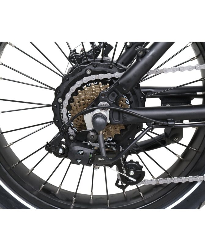 GoPowerBike GoCruiser 750W 48V/10Ah Folding Fat Tire Electric Bike B303