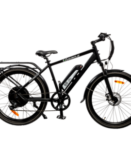 GoPowerBike GoEagle 48V/10.4Ah 750W All Terrain Electric Commuter Bike