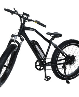 GoPowerBike GoSpeed 750W 48V/10Ah All Terrain Fat Tire Electric Bike B101