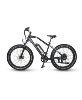 GoPowerBike GoSpeed 750W 48V/10Ah All Terrain Fat Tire Electric Bike B101