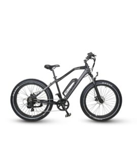 GoPowerBike GoSpeed 750W 48V/10Ah All Terrain Fat Tire Electric Bike B101