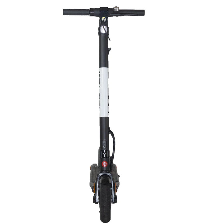 GoTrax XR Elite 36V/7.8Ah 300W Stand Up Electric Scooter