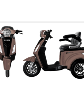 GVA Brands Regal 48V/20Ah 500W 3-Wheel Electric Scooter