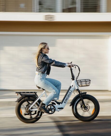 King Bull Literider 48V/15Ah 750W  Folding Step-Thru Electric Bike