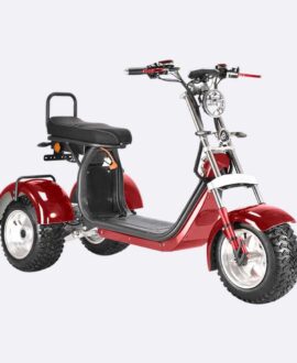 Linkseride CP7 60V2000W Dual Motor Electric Trike Scooter