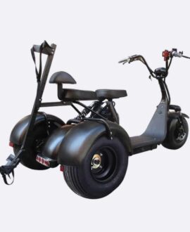 Linkseride X7 60V/2000W 3 Wheel Golf Electric Trike Scooter