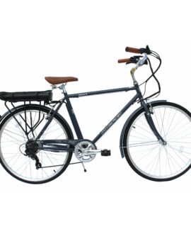 Micargi Holland V7 48V/10.5Ah 350W Electric Commuter Bike