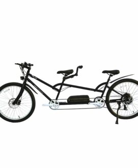 Micargi Raiatea 48V/10.4Ah 500W Tandem Electric Bike