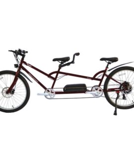 Micargi Raiatea 48V/10.4Ah 500W Tandem Electric Bike