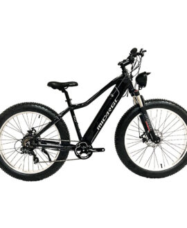 Micargi Steed 48V/11.6Ah 800W Fat Tire Electric Mountain Bike