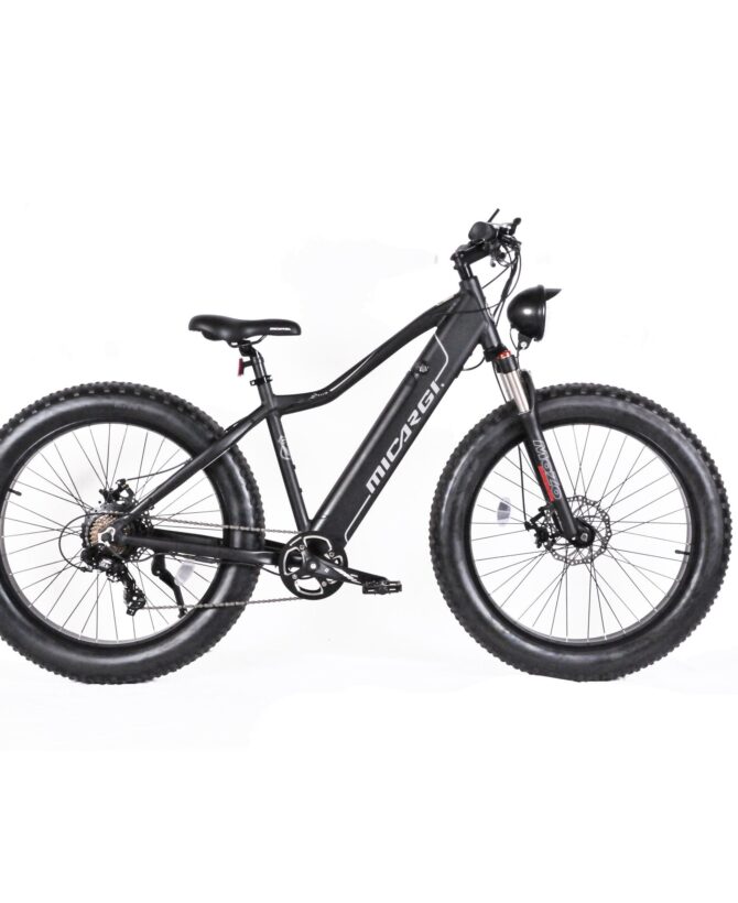 Micargi Steed 48V/11.6Ah 800W Fat Tire Electric Mountain Bike